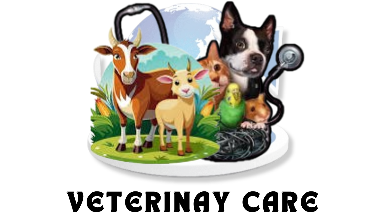 ভেটেরিনারি কেয়ার